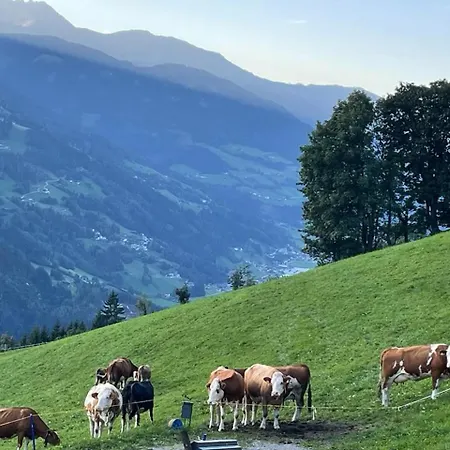 Alpblick Apart Lejlighed Aschau Im Zillertal
